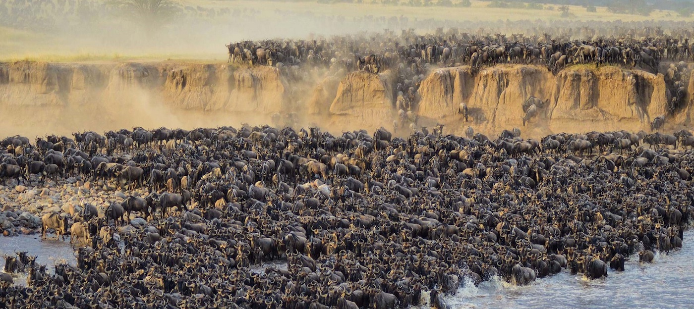 Serengeti National Park, Tanzania