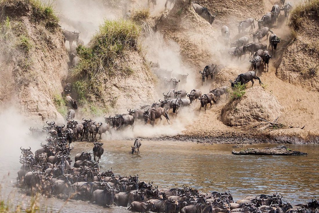 Mara River Serengeti