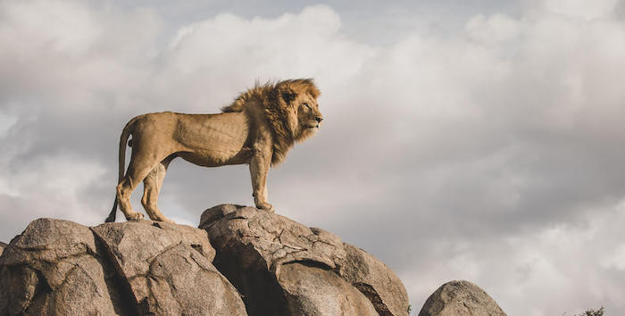 Moru Kopjes Serengeti