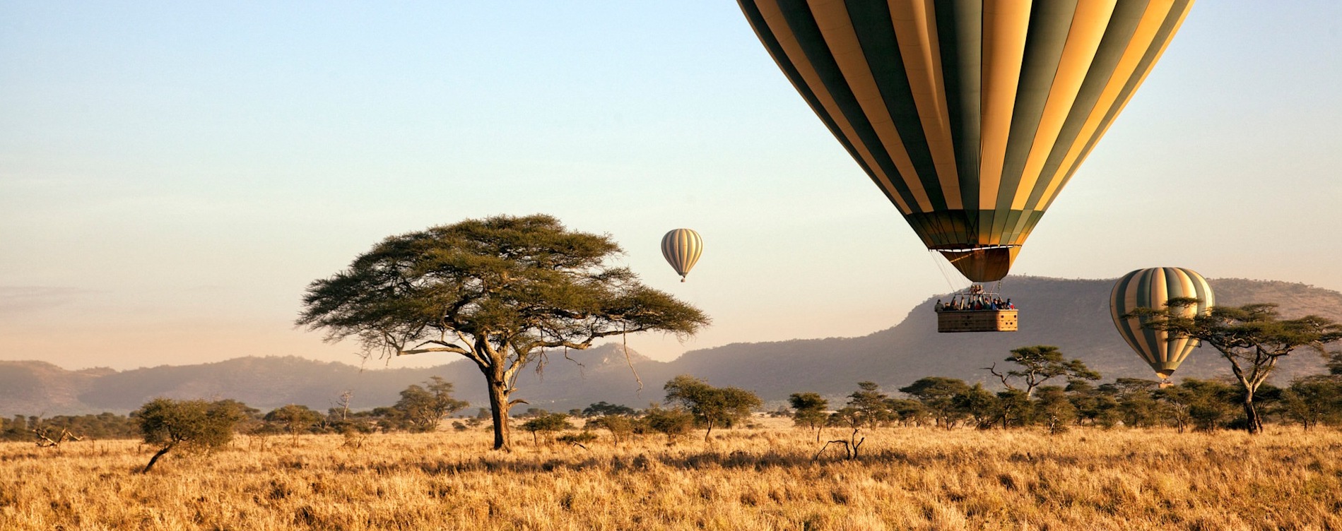 Contact Tanzania Luxury Safari